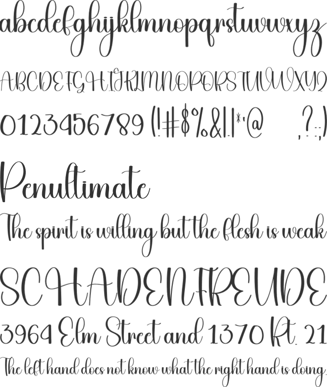 Lastnight font preview