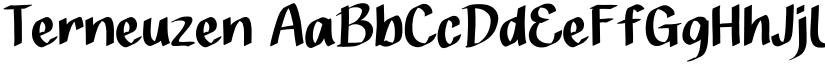 Terneuzen font