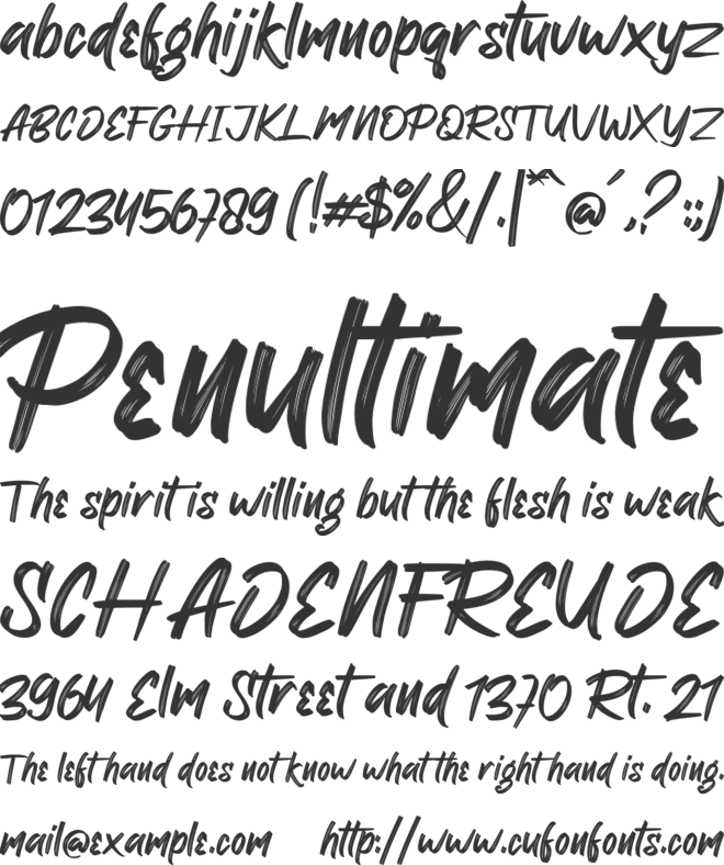 Ronxetta font preview