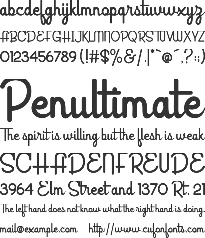 Rectoverso Script font preview