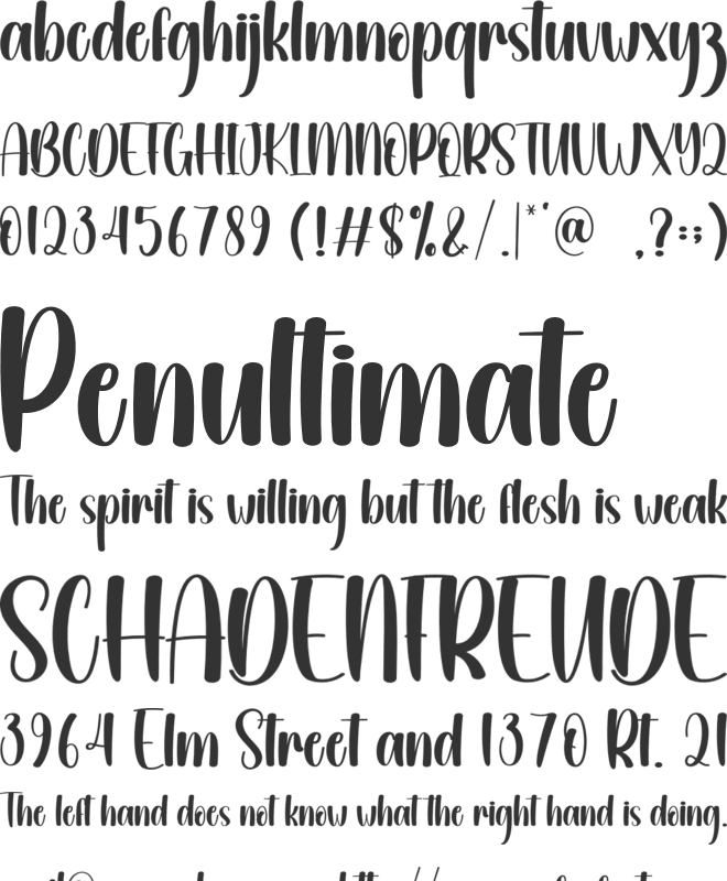 Garden Christmas font preview