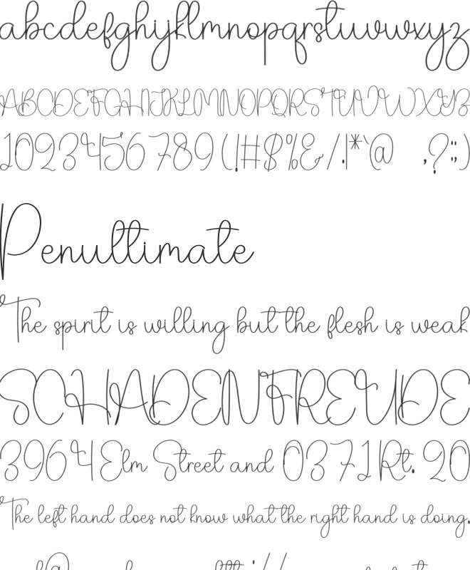 Flower Christmas font preview