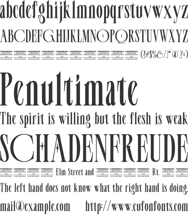 Palmer Florida Personal Use Only font preview