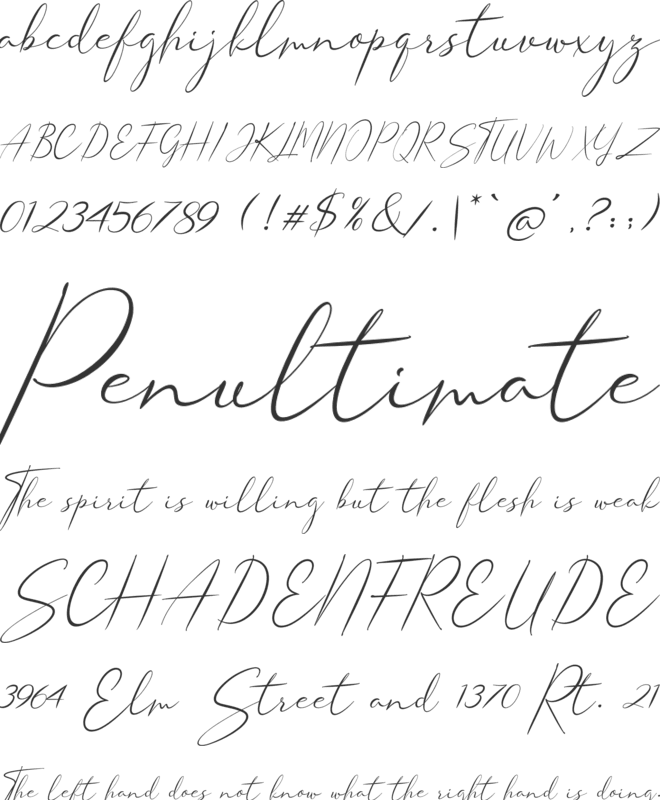 Shangrella font preview