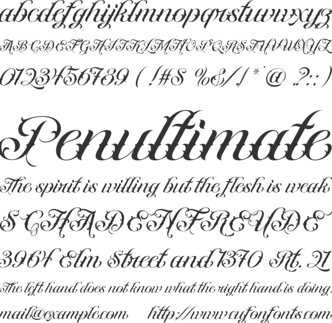 Rebelink font preview