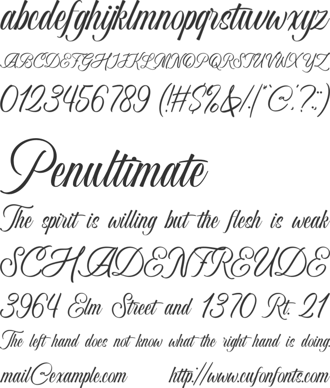 Medancy font preview