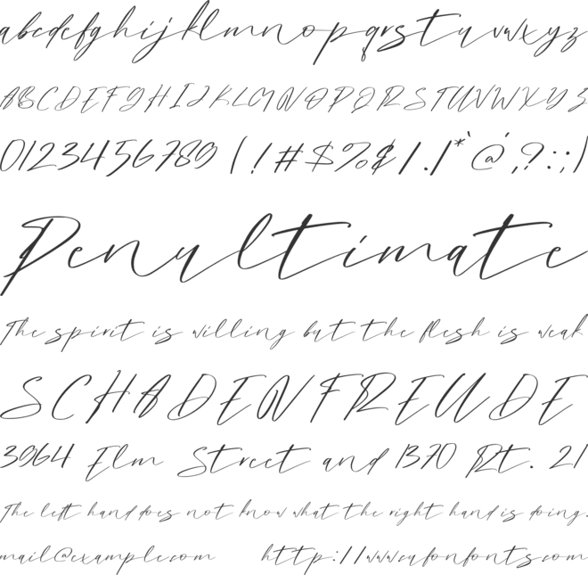 Fettina font preview