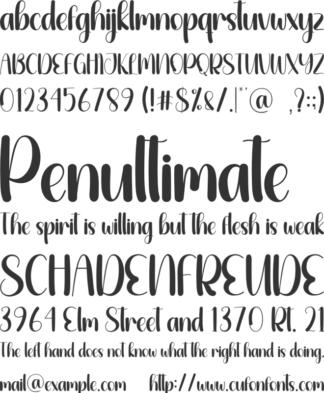 Blanket Christmas font preview