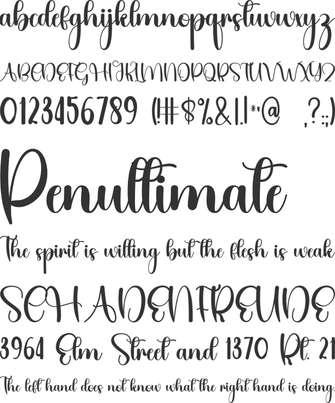Stylish Blonde font preview