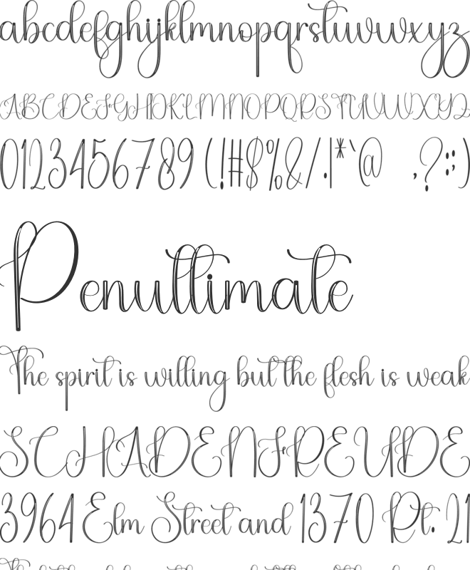 Holiday Birthday font preview