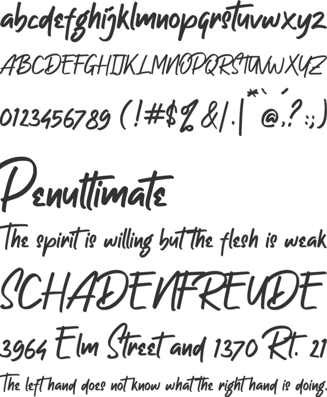 Storelights font preview