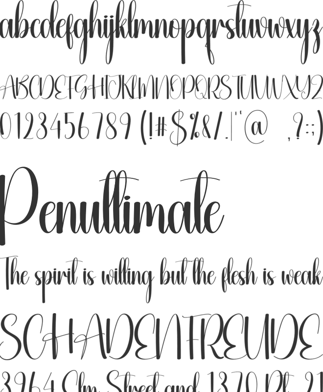 Hanger font preview