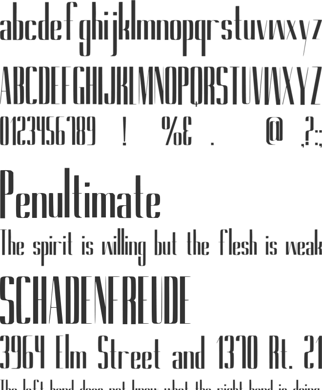 Avenor Black font preview