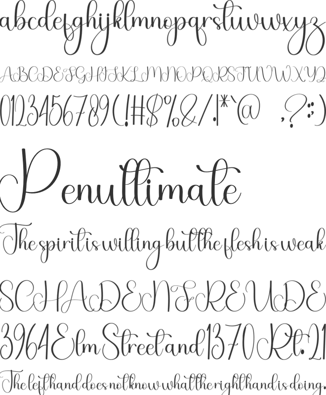 Winterguy font preview