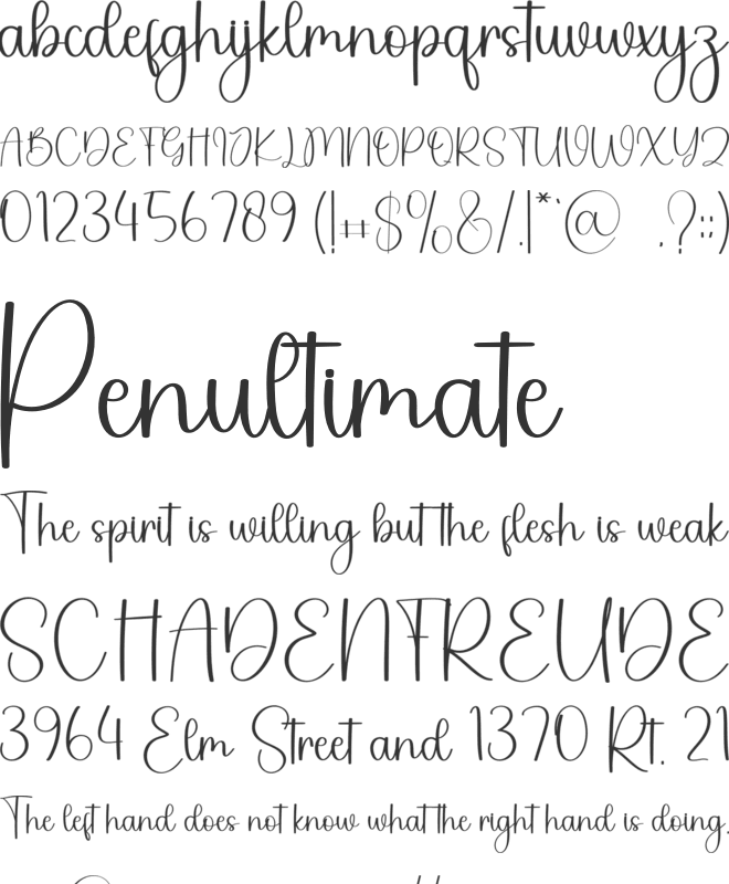 Perfect font preview