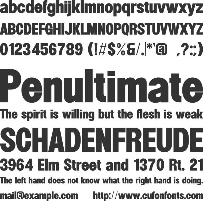 Winking font preview