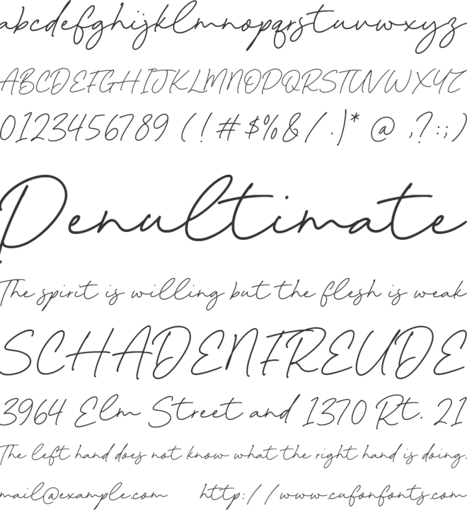 Bunny Kinsley font preview