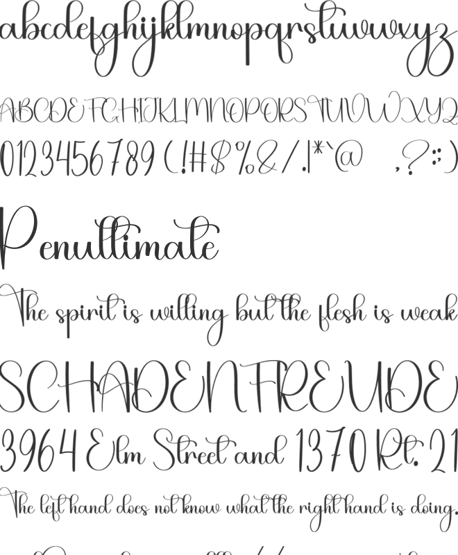 Kitchen Counter font preview