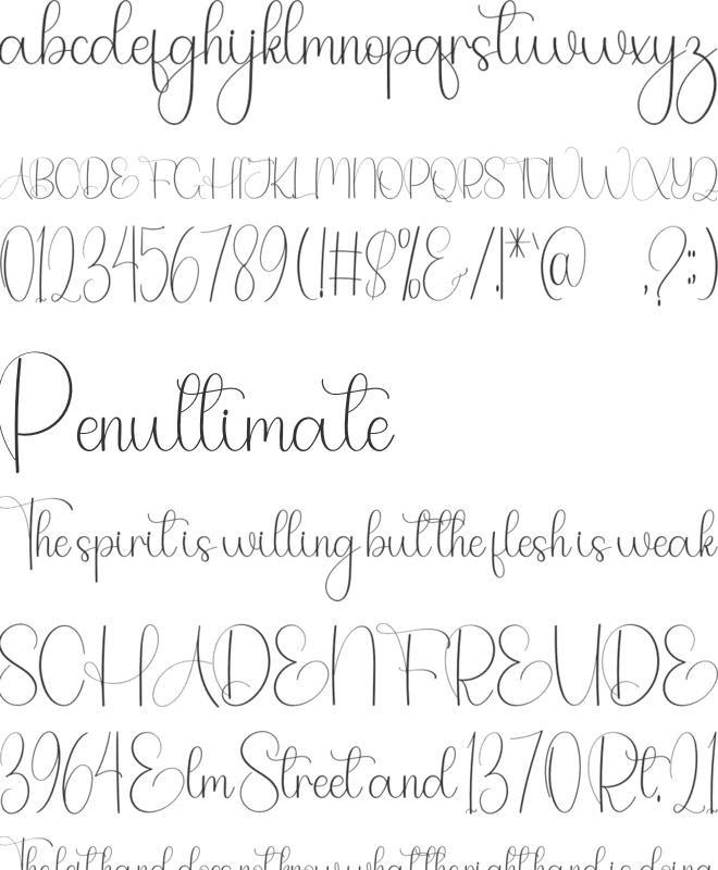 Awesome  Amazing font preview