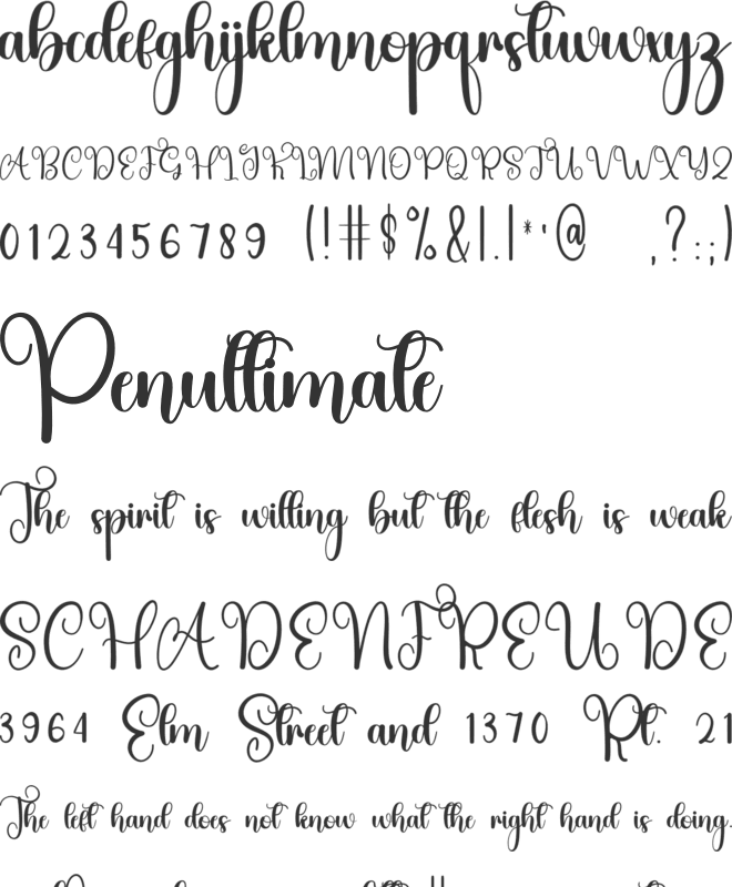 Eternal Signature font preview
