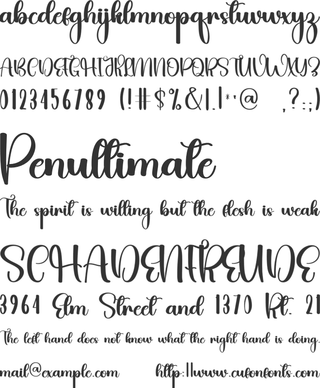 Chasing  Party font preview