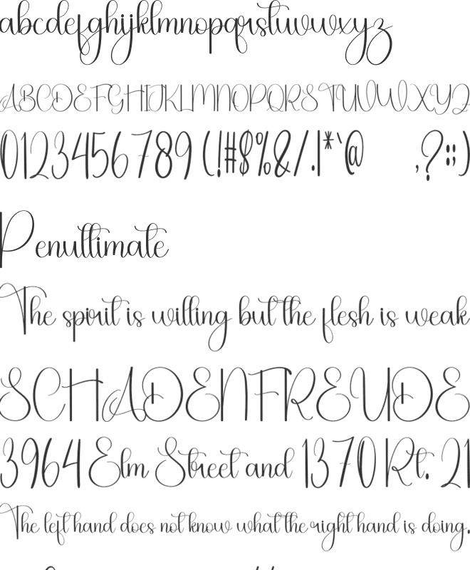 Bhabhi font preview