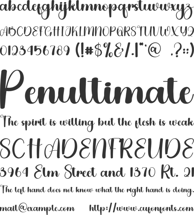 Lighning Ceremony font preview