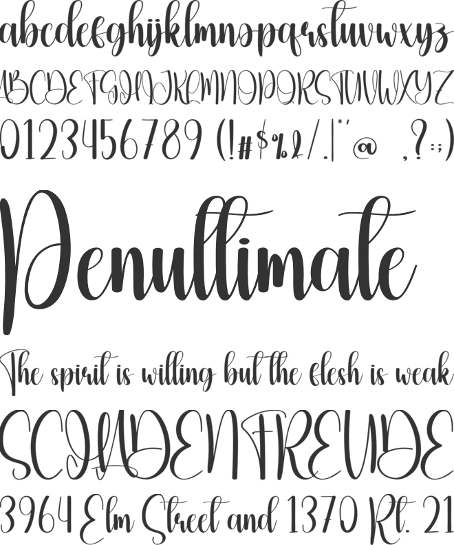 Kingsanta font preview