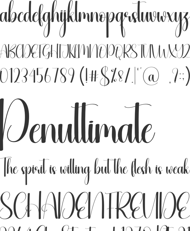Vintage Christmas font preview