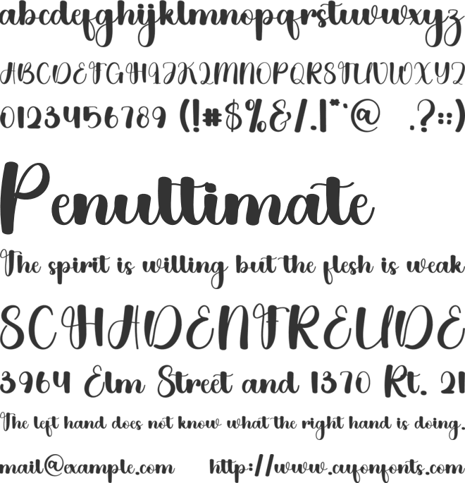 Looking font preview