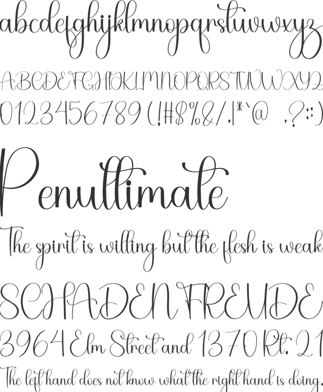 Beautiful Ornaments font preview