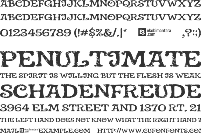 Aveschon font preview