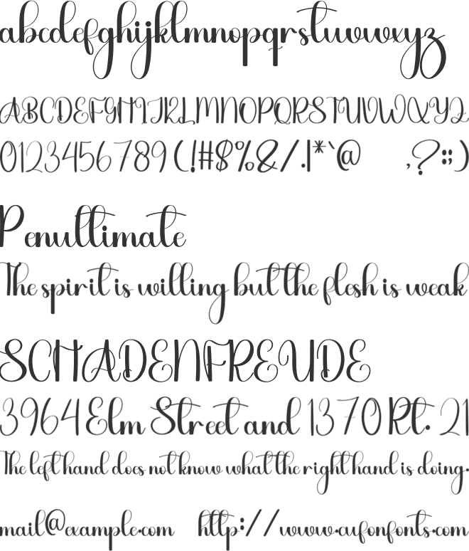 Loving Forever font preview