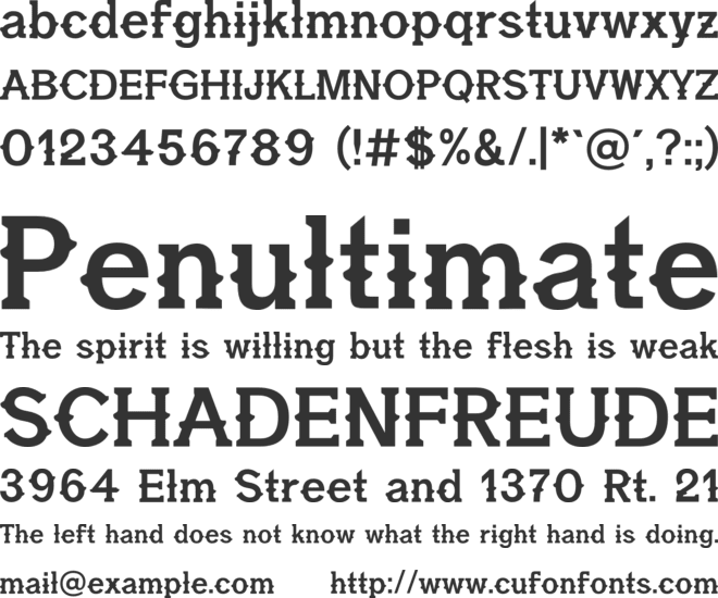 Wildrin Serif font preview