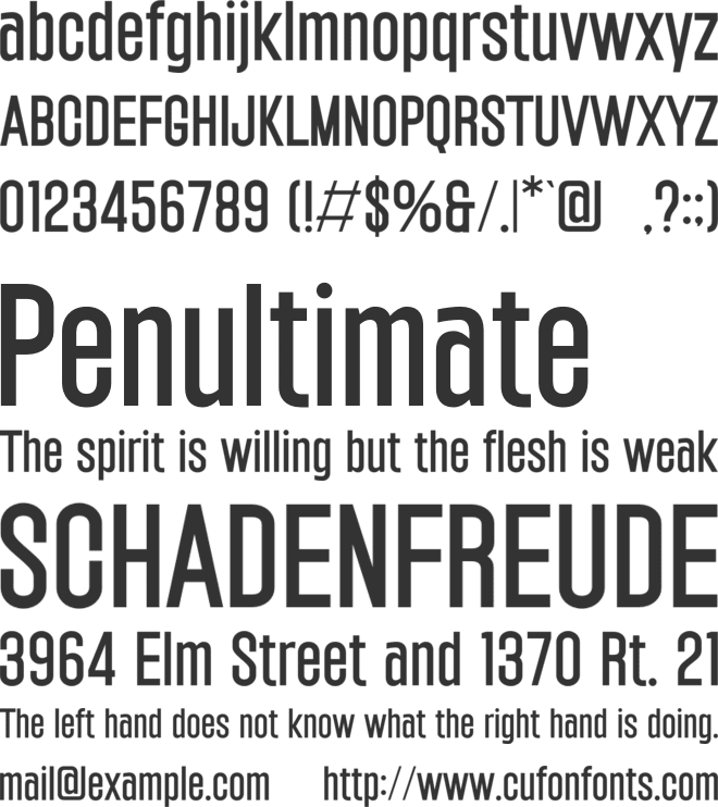 Guardian font preview