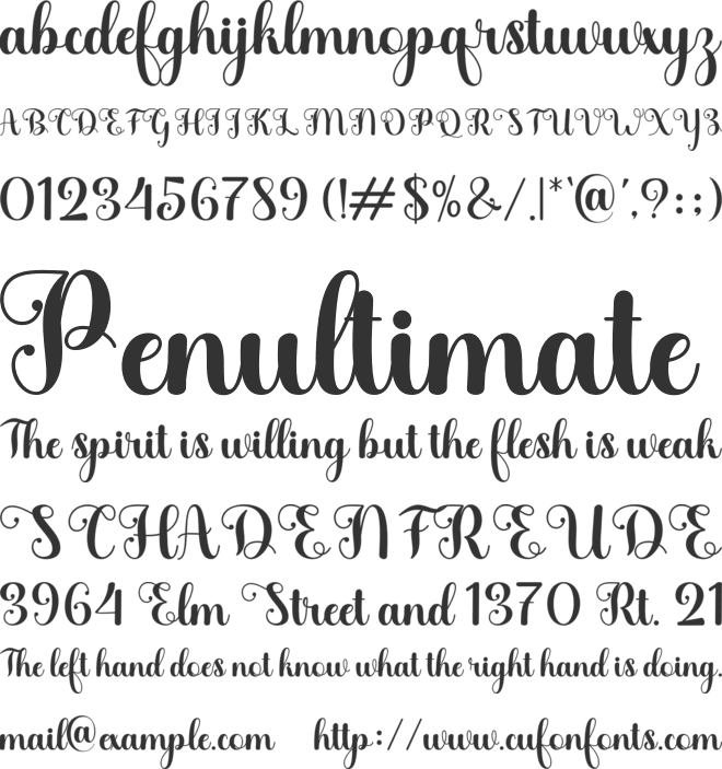 Daye Script font preview