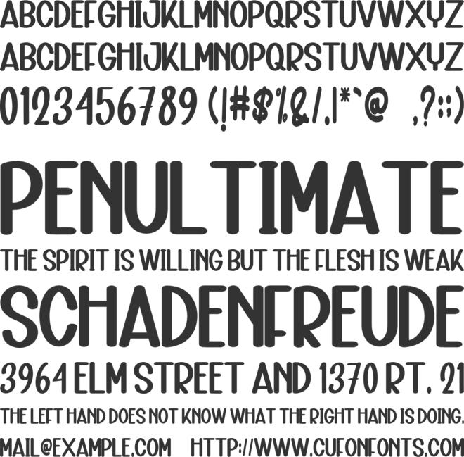 Snowden font preview