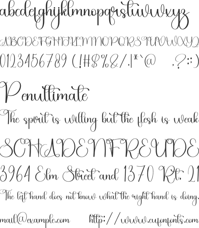 Signature Beautiful font preview