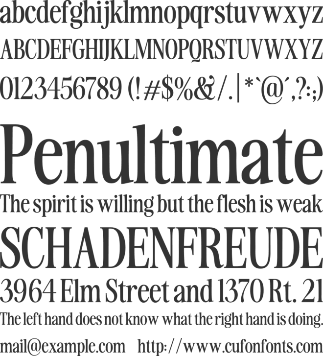 Noveira Serif font preview