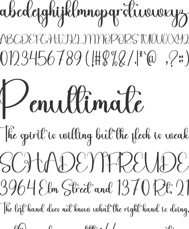 Holiday Belinda font preview