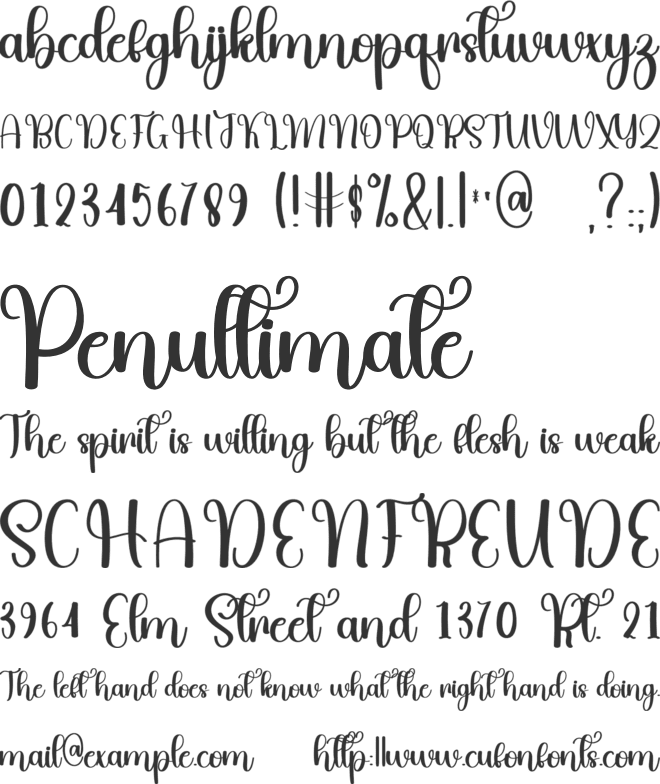 Authententic font preview