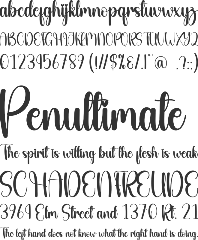 Beauty Santa font preview