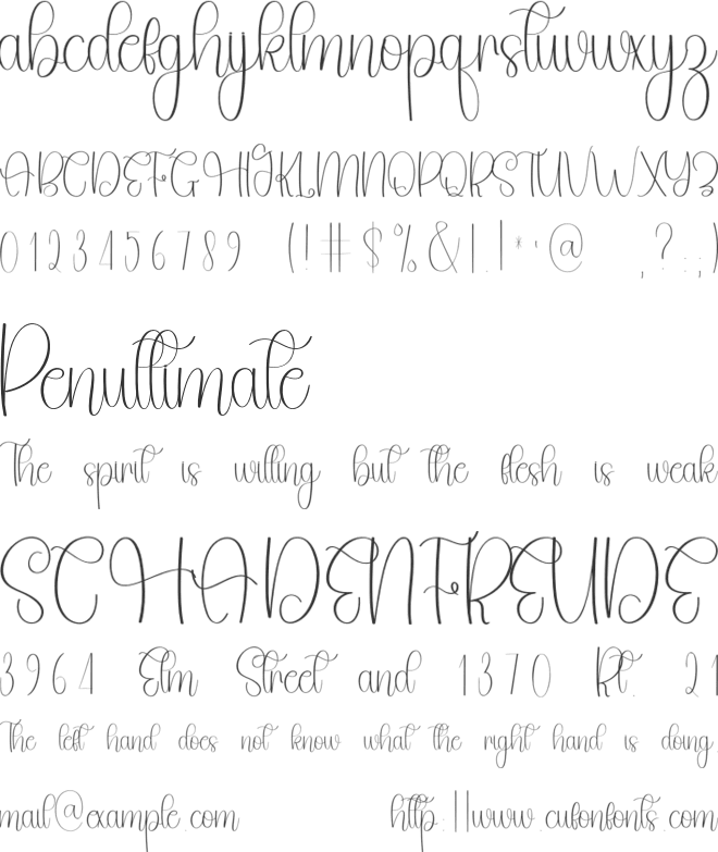 Beauty Whisakey font preview