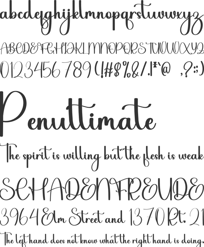 Function font preview