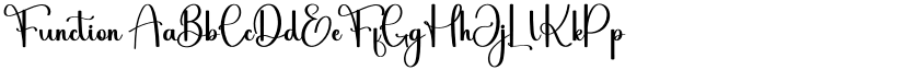 Function font