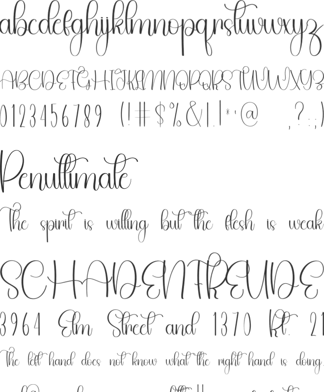 Digital Fonts font preview