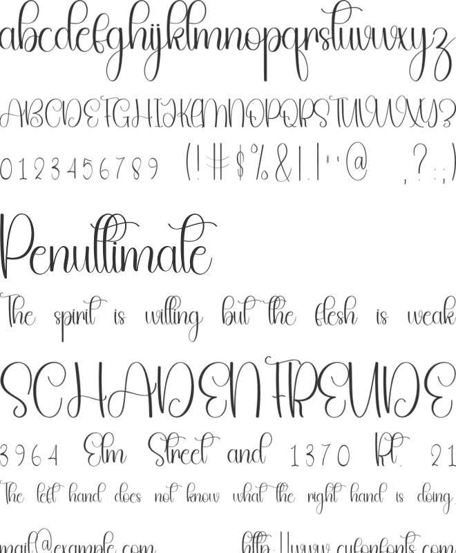 Snowland Wonderfull font preview