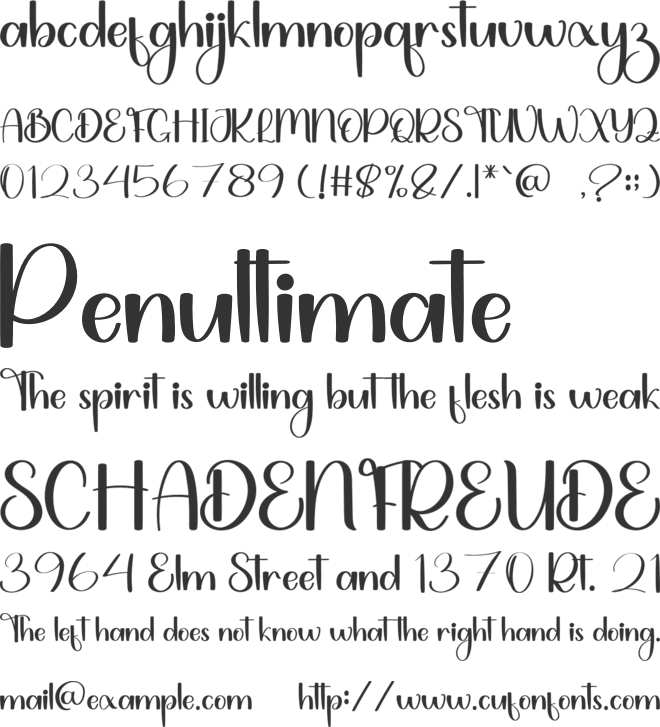 Winter January font preview