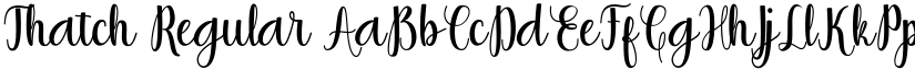 Thatch Regular font