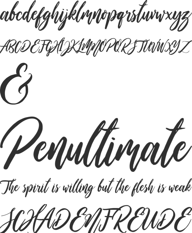 Wild Ones font preview